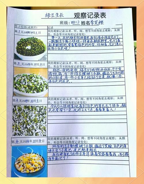 梦见种绿豆解读精神成长与现实挑战的对比分析! 梦见种绿豆解读精神成长与现实挑战的对比分析!