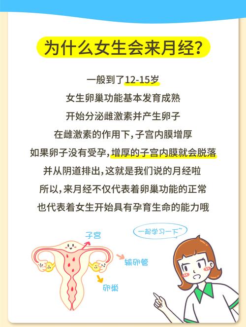 梦见月经与女性健康解读心理变化与生理影响 梦见月经与女性健康解读心理变化与生理影响