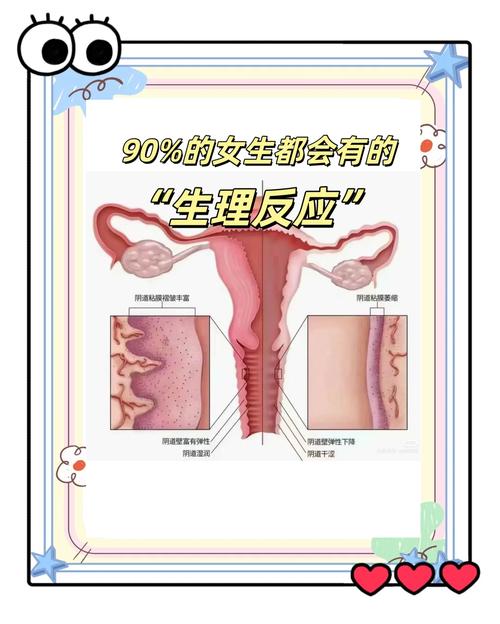梦见月经与女性健康解读心理变化与生理影响 梦见月经与女性健康解读心理变化与生理影响