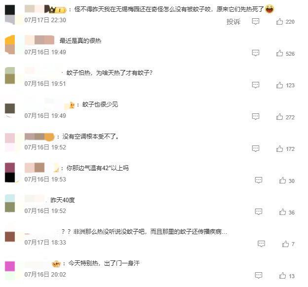 河南高温为何连蚊子都热死？如何应对极端天气的挑战？