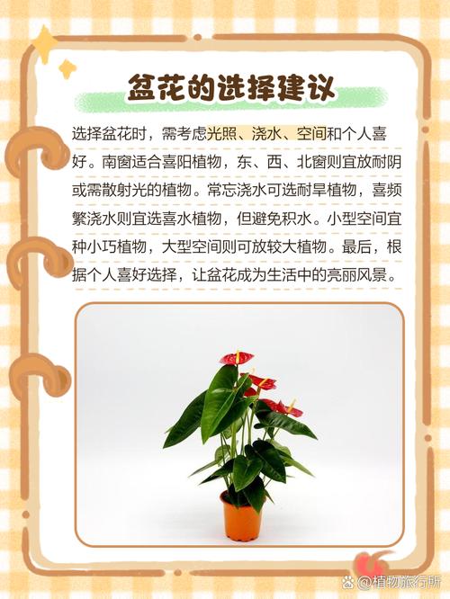 梦见花盆解析专家揭秘5个影响生活的潜在因素