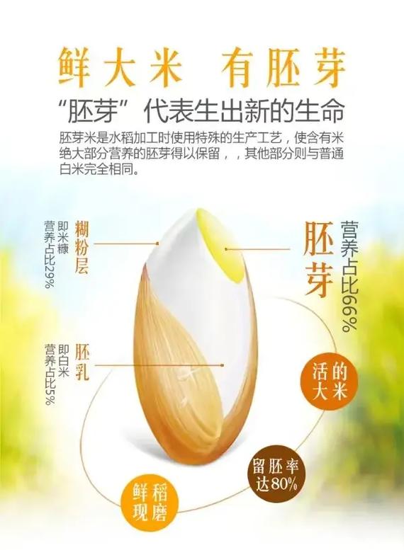 梦见磨米谷的寓意解读其象征意义与高效解决方案 梦见磨米谷的寓意解读其象征意义与高效解决方案