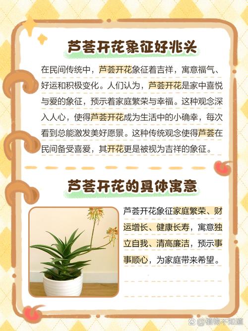 梦见芦荟开花预示哪些？解析背后的深层意义