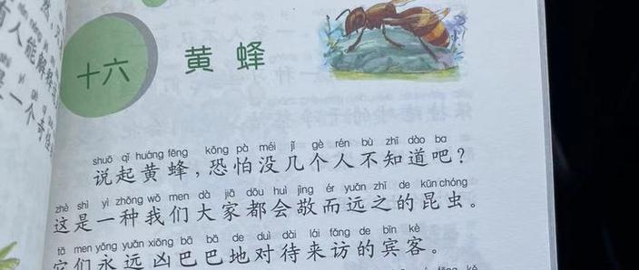 梦见黄蜂预示哪些？揭示昆虫梦境的深层心理含义！