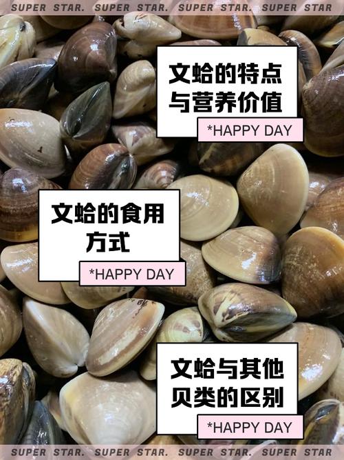 梦见文蛤等贝类意味着哪些?高效解决方案解读其心理暗示与实用意义。 梦见文蛤等贝类意味着哪些?高效解决方案解读其心理暗示与实用意义。