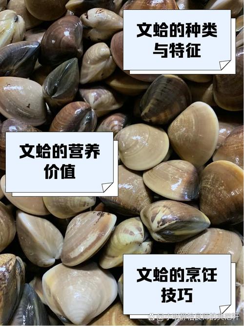 梦见文蛤等贝类意味着哪些?高效解决方案解读其心理暗示与实用意义。 梦见文蛤等贝类意味着哪些?高效解决方案解读其心理暗示与实用意义。