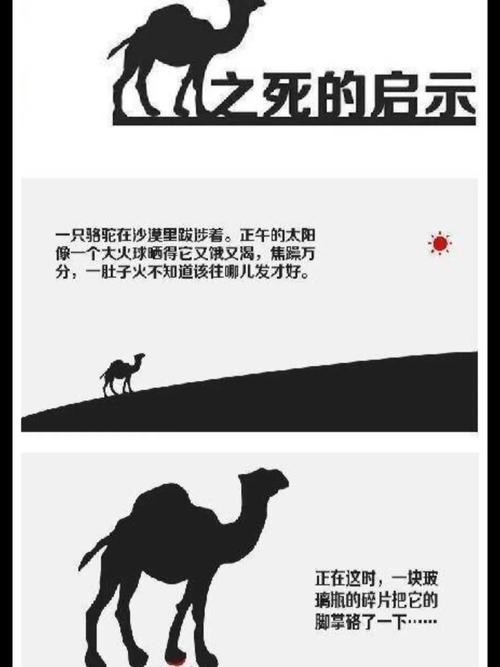 3个梦见木马的深层含义解读，帮你探寻内心世界