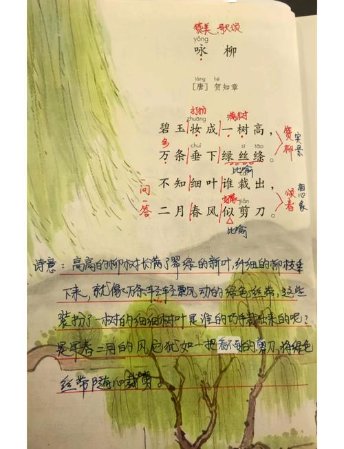 10个梦见杨柳的象征解读,揭示潜在心理含义 10个梦见杨柳的象征解读,揭示潜在心理含义