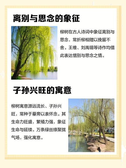 10个梦见杨柳的象征解读,揭示潜在心理含义 10个梦见杨柳的象征解读,揭示潜在心理含义