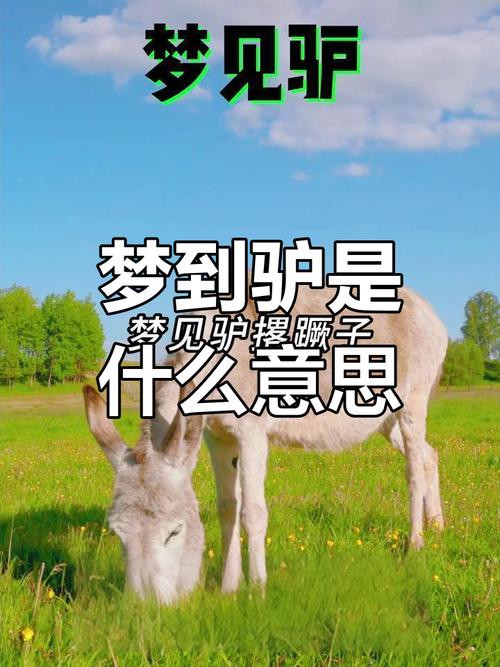 梦见驴骡马的7个心理暗示及其真实含义揭秘