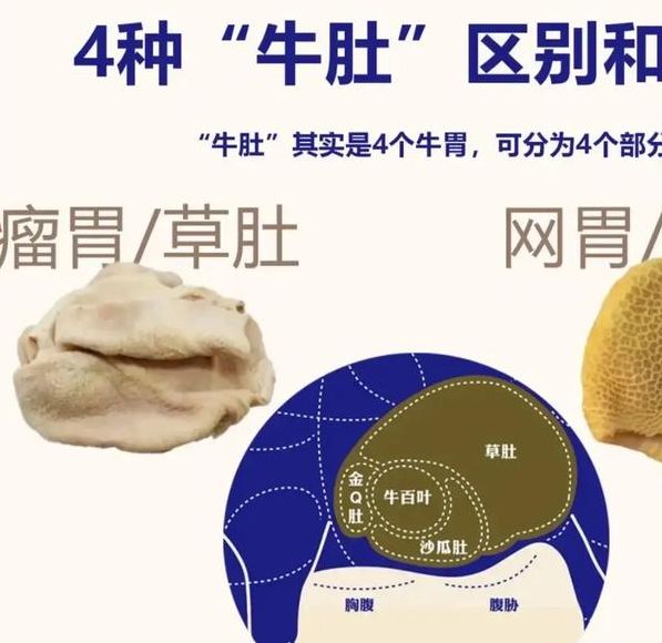 解读梦见牛肚的象征意义提升内心能量与财富运势技巧