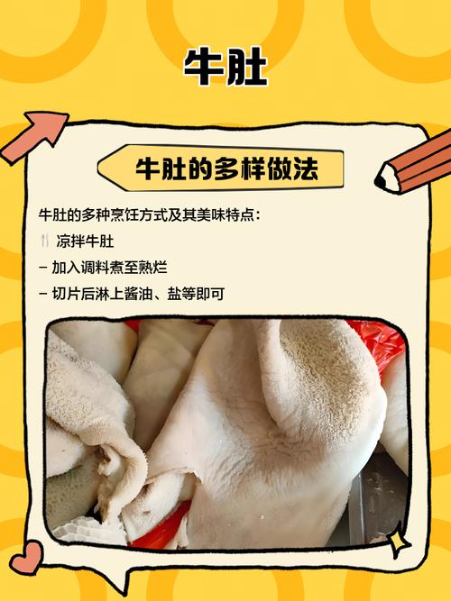 解读梦见牛肚的象征意义提升内心能量与财富运势技巧