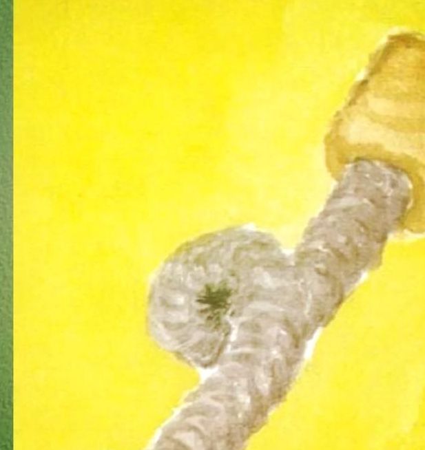 梦见储藏室寓意揭示潜意识探索，指引生活新方向！