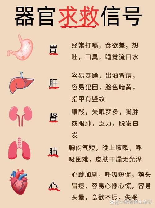 梦见内脏的深层含义解析与高效心理调适方案