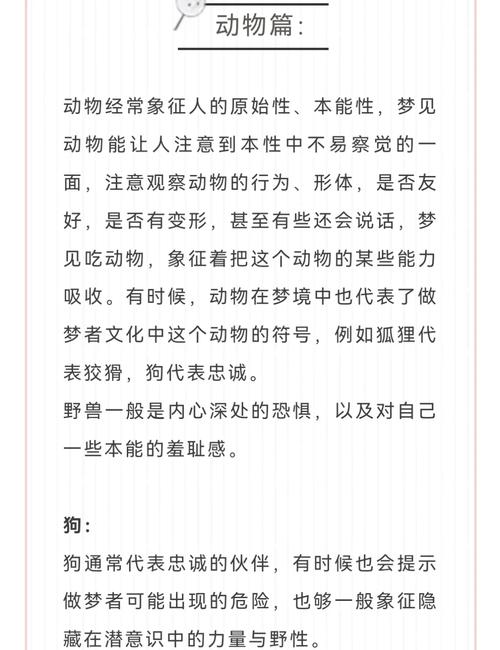 梦见会说话的动物意味着哪些？解读梦境背后的神秘信号