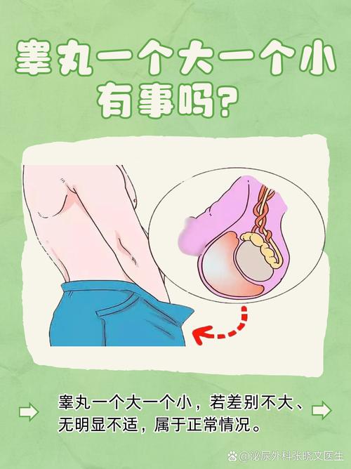梦见睾丸的隐秘寓意心理暗示还是生活启示？