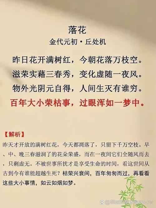 梦见花落暗藏玄机？解读背后深意及预示