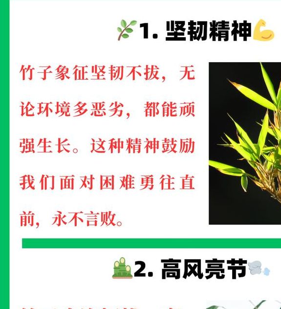 梦见竹子象征意义深度解析及高效解决方案