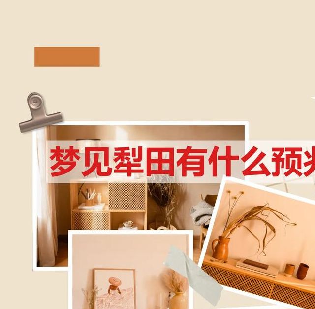 解析梦见田地的深意，提升生活幸福感的实用指南