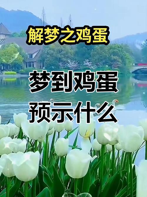 梦见捡到鸡蛋的7种预示解读梦境中的财富象征 梦见捡到鸡蛋的7种预示解读梦境中的财富象征