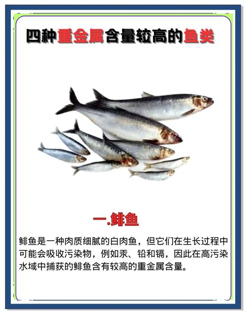 梦见鲱鱼的8种象征意义与心理解析 梦见鲱鱼的8种象征意义与心理解析