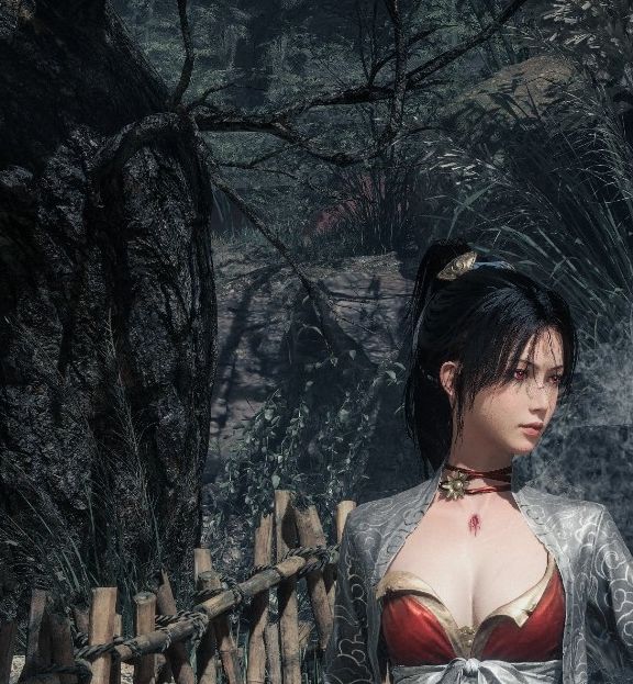 明末：渊虚之羽Steam好评破50% —— 探索女主角美图魅力与玩家好评原因