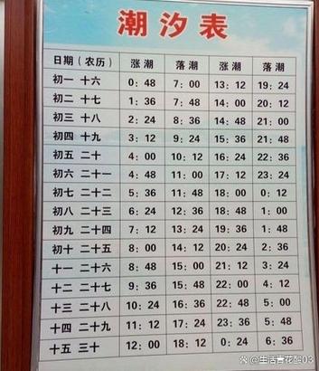 梦见潮水预示着哪些？解读潮汐梦境背后的潜在意义