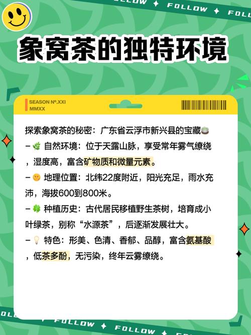 解梦专家解析梦见茶饭的3大象征意义与生活启示 解梦专家解析梦见茶饭的3大象征意义与生活启示