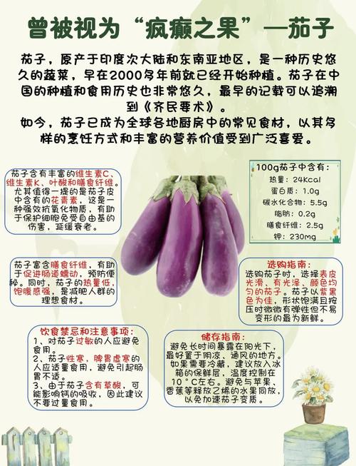 梦见茄子解析心理暗示与健康影响大揭秘 梦见茄子解析心理暗示与健康影响大揭秘