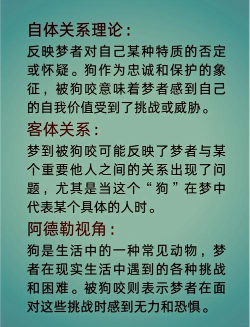 梦见将狗伤害的8个心理象征分析,你必须了解的潜意识信号! 梦见将狗伤害的8个心理象征分析,你必须了解的潜意识信号!