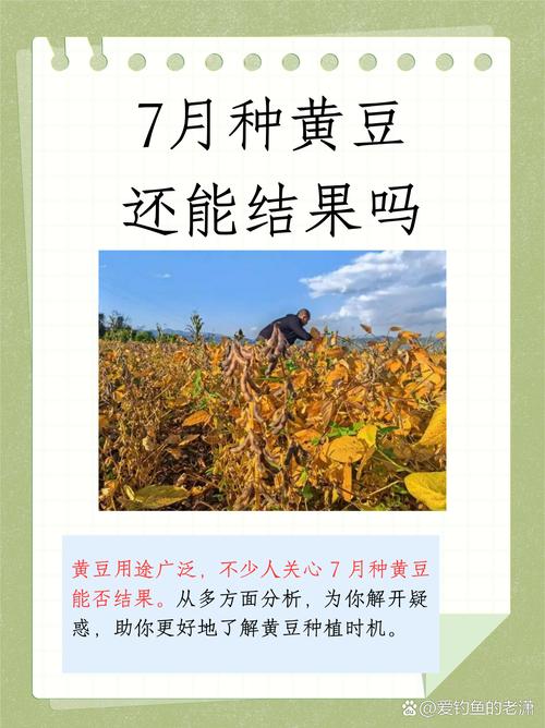梦见种黄豆寓意解析如何实现丰收的意味? 梦见种黄豆寓意解析如何实现丰收的意味?