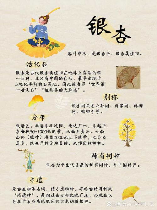 梦见银杏解析心理象征与健康暗示深度分析