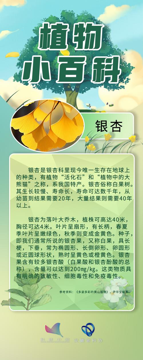 梦见银杏解析心理象征与健康暗示深度分析