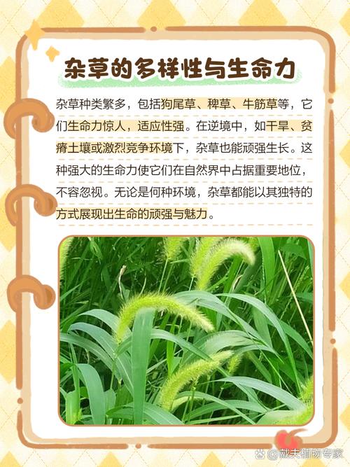 梦见杂草寓意深度解析揭示潜意识中的机遇和挑战 梦见杂草寓意深度解析揭示潜意识中的机遇和挑战