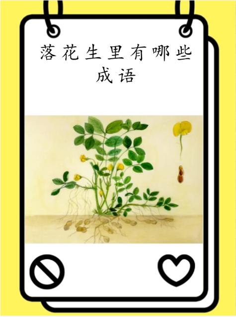 梦见摘花生意味着哪些?揭示深层心理解析与高效解决方案 梦见摘花生意味着哪些?揭示深层心理解析与高效解决方案