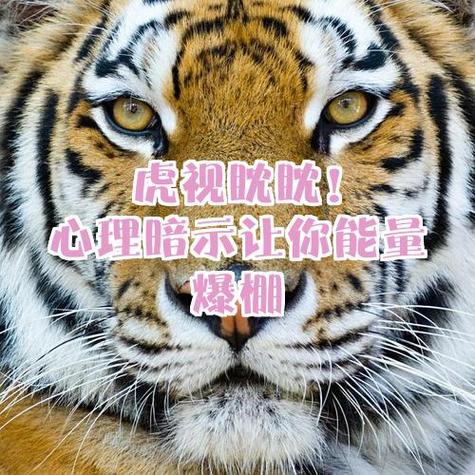 梦见打死老虎解析心理暗示 vs 现实启示,如何解读? 梦见打死老虎解析心理暗示 vs 现实启示,如何解读?