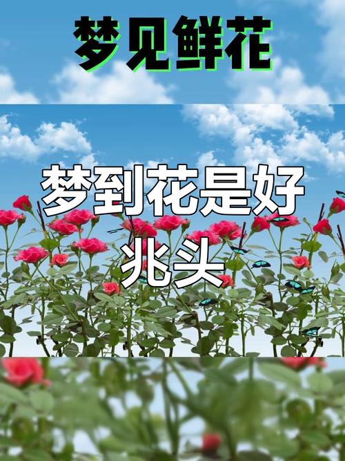 梦见红花象征生命激情,解密神秘梦境寓意! 梦见红花象征生命激情,解密神秘梦境寓意!