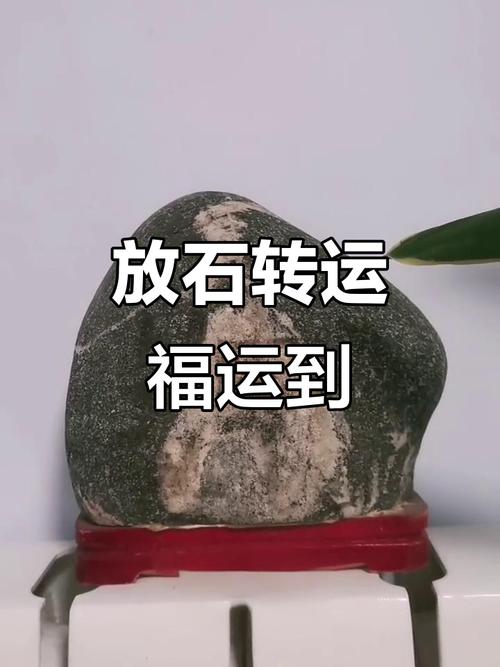 梦见石头搬进家里解析揭示潜在财富与好运秘诀 梦见石头搬进家里解析揭示潜在财富与好运秘诀
