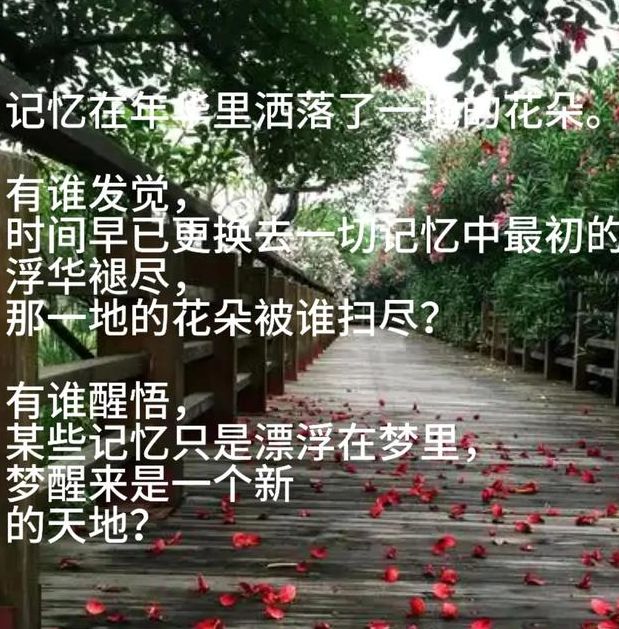梦见花朵凋零预示哪些?揭示背后玄机,您不可错过的梦境解析! 梦见花朵凋零预示哪些?揭示背后玄机,您不可错过的梦境解析!