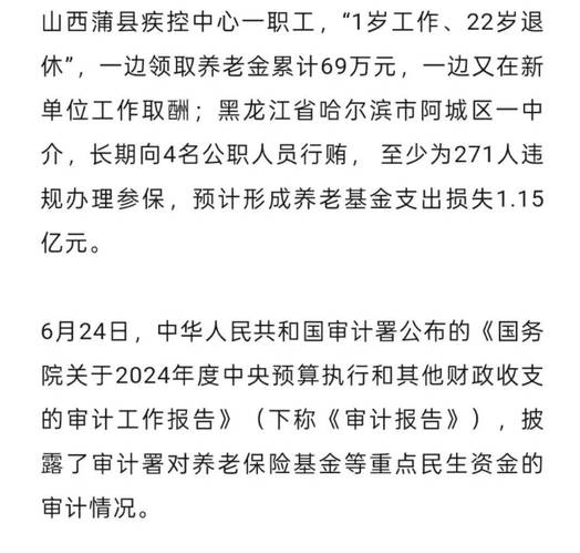 审计署揭露:2025年13省养老金神秘流向,谁是幕后黑手? 审计署揭露:2025年13省养老金神秘流向,谁是幕后黑手?