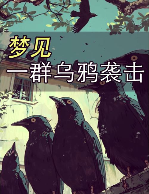梦见大乌鸦的象征意义及高效解决方案解析 梦见大乌鸦的象征意义及高效解决方案解析