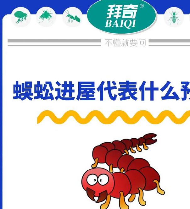 梦见蜈蚣寓意解析权威解读及5大影响因素 梦见蜈蚣寓意解析权威解读及5大影响因素
