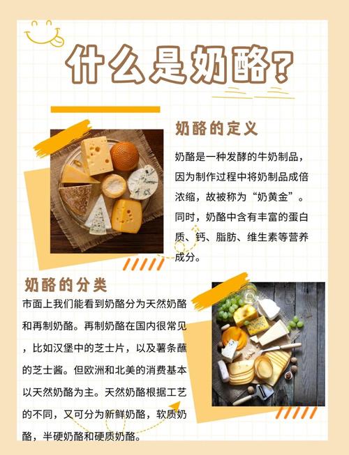 梦见奶酪象征意义深度解析了解财富与机遇的关联 梦见奶酪象征意义深度解析了解财富与机遇的关联