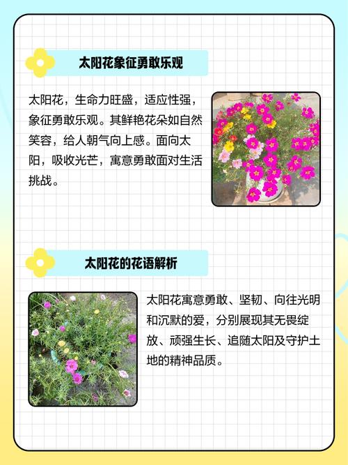 梦见花棚预示着哪些?解析背后心理暗示及生活启示 梦见花棚预示着哪些?解析背后心理暗示及生活启示