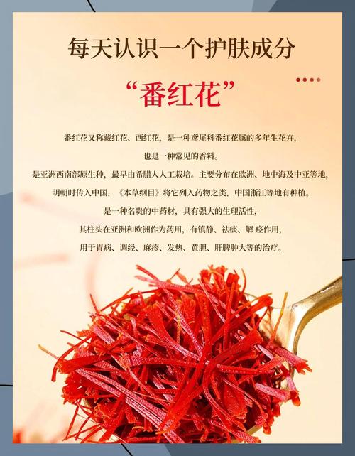 专家解读15个梦见番红花的深层含义与心理分析 专家解读15个梦见番红花的深层含义与心理分析