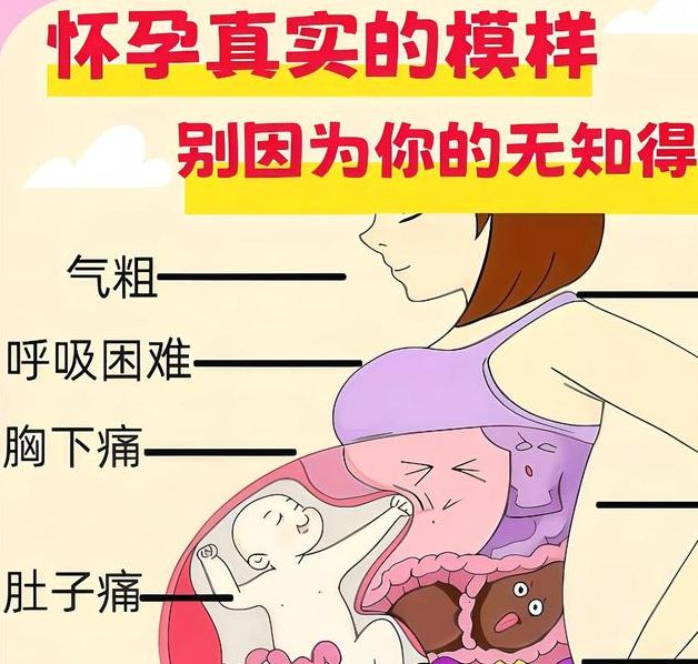 梦见大肚婆解读背后5个心理学意义与实用分析 梦见大肚婆解读背后5个心理学意义与实用分析