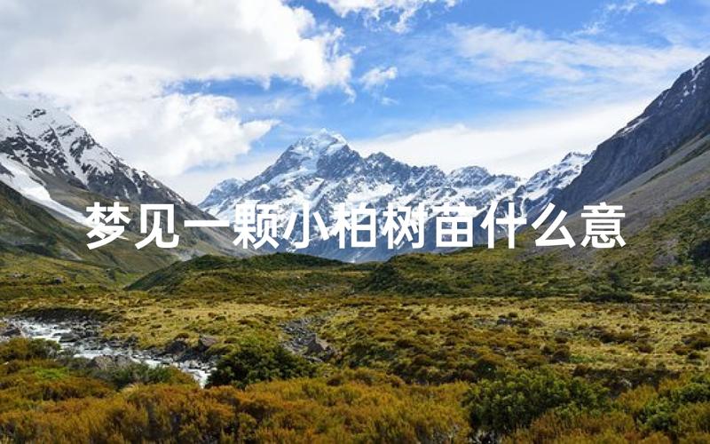 梦见柏树寓意揭秘如何理解梦境中的象征意义? 梦见柏树寓意揭秘如何理解梦境中的象征意义?