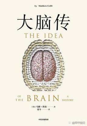 梦见猿人暗示哪些?揭示心灵奥秘与高效解决方案 梦见猿人暗示哪些?揭示心灵奥秘与高效解决方案