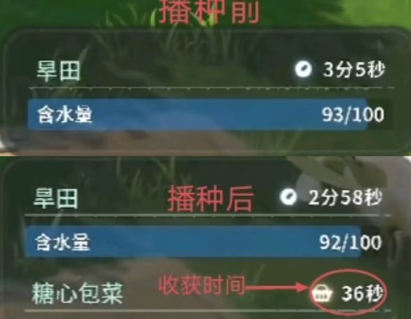 蓝色星原：旅谣耕种技巧揭秘：如何高效种植与收获？