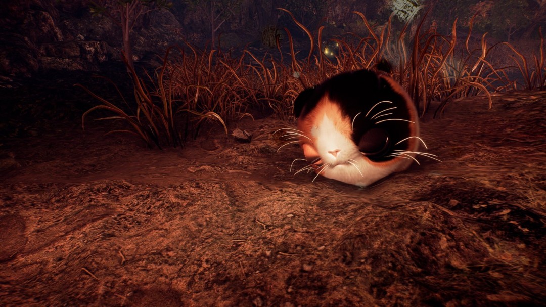 游戏资讯：仁王3猫型妖怪善擦返场——萌物魅力全解析